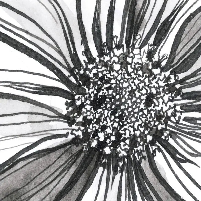 Papel pintado de flores en blanco y negro