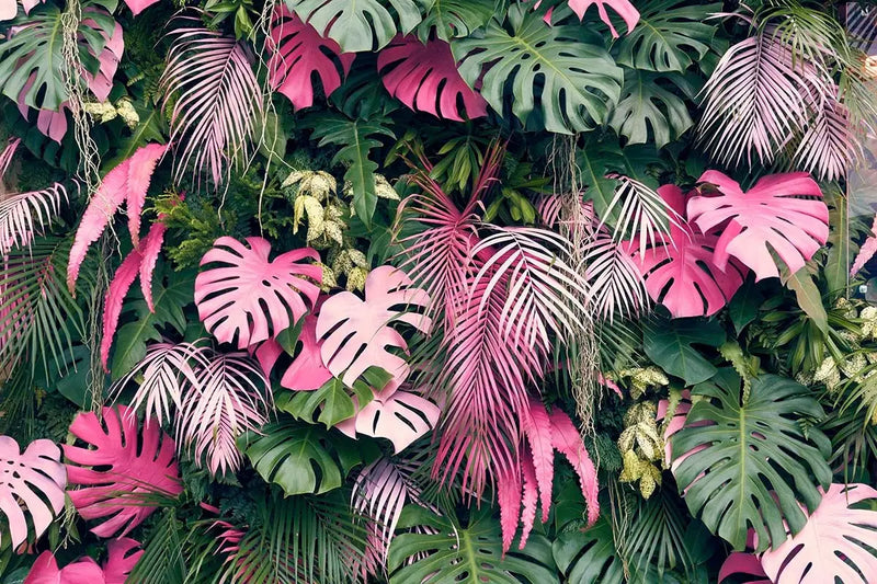 Fondo De Pantalla De Selva Rosa