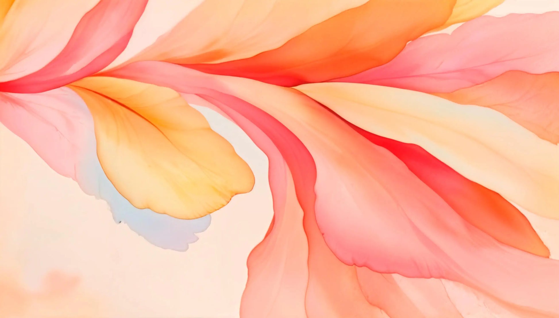Papel Pintado De Rosa Naranja