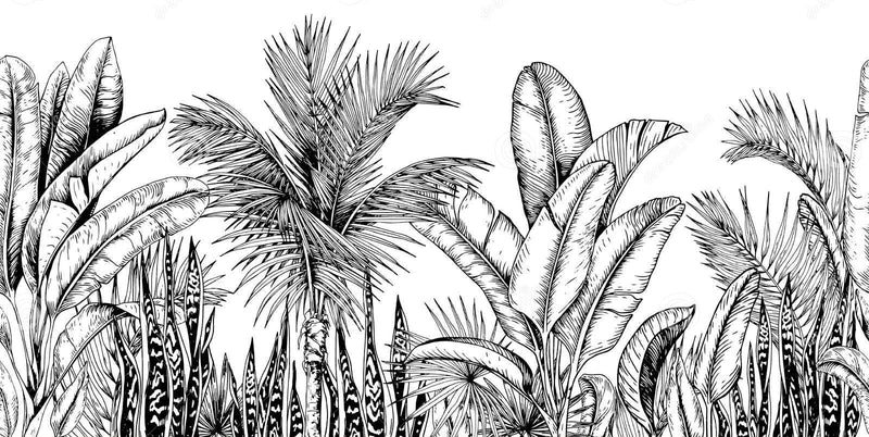 Papel pintado de plantas en blanco y negro